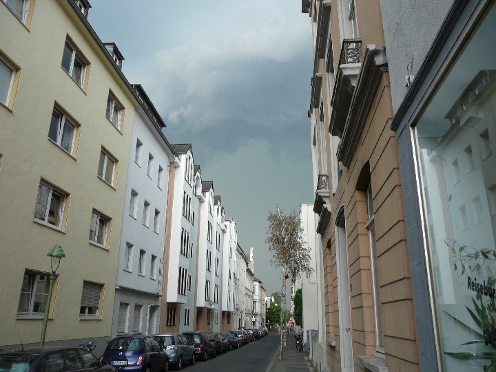 Bild