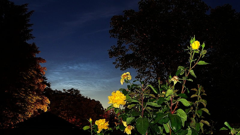 Helles NLC-Display &uuml;ber der Bonner S&uuml;dstadt, aufgenommen am 17.06.2019 um 23:19 MESZ