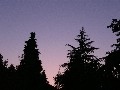 08.09.2009, 20:29 MESZ
