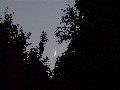 15.06.2010, 22:12 MESZ